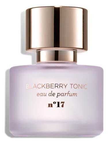 blackberry tonic perfume is a dupe for|I tried Target's $20 designer perfume dupes .